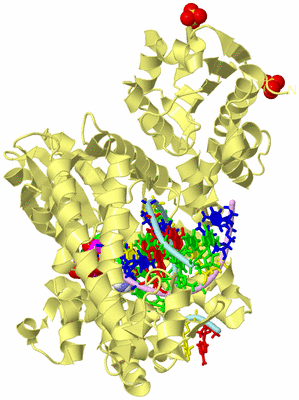 Image Biological Unit 2