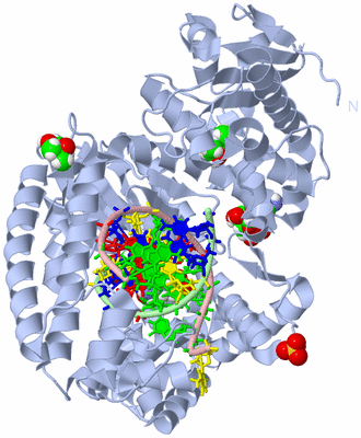 Image Biological Unit 1