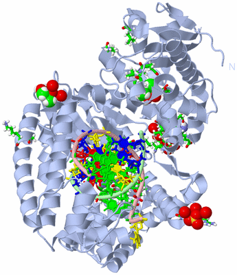 Image Biol. Unit 1 - sites