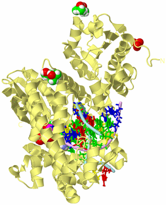 Image Biological Unit 2