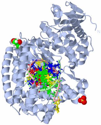 Image Biological Unit 1