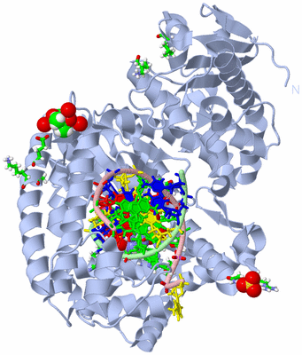 Image Biol. Unit 1 - sites