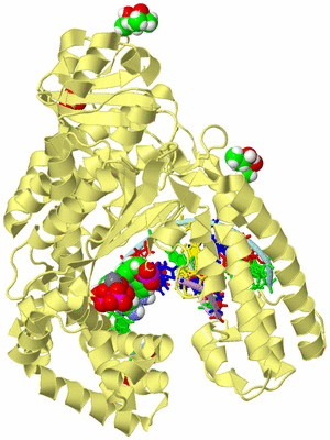 Image Biological Unit 2