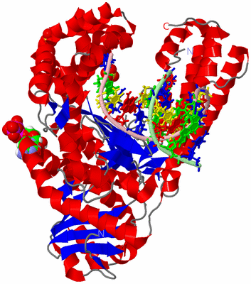 Image Asym./Biol. Unit