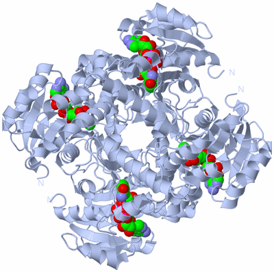 Image Biological Unit 1