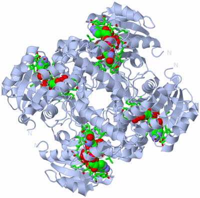 Image Biol. Unit 1 - sites