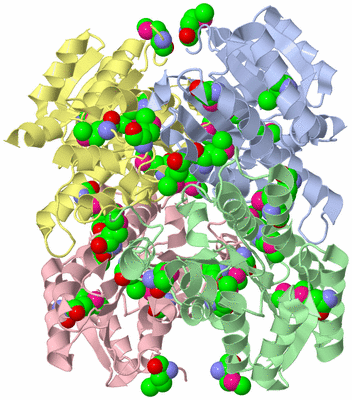 Image Asym./Biol. Unit