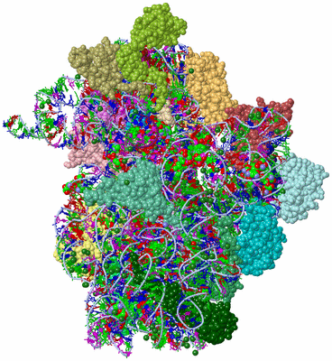 Image Asym./Biol. Unit