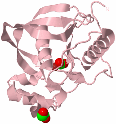 Image Biological Unit 3