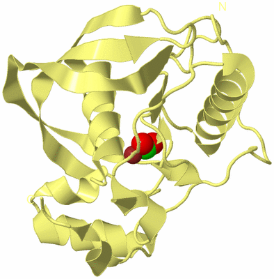 Image Biological Unit 4