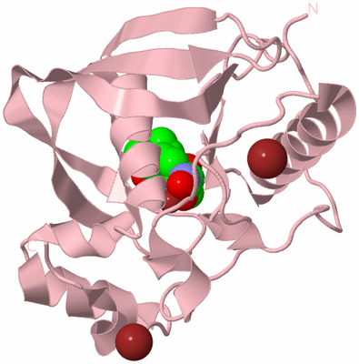 Image Biological Unit 3