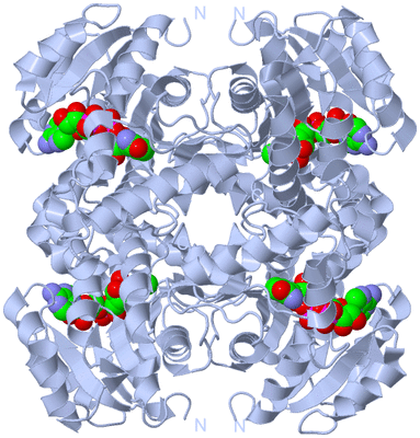 Image Biological Unit 1