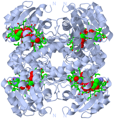 Image Biol. Unit 1 - sites