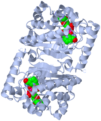 Image Biological Unit 3