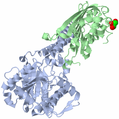 Image Biological Unit 1