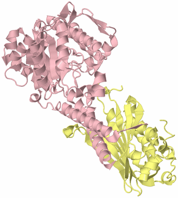 Image Biological Unit 2