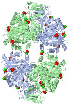 Image Biological Unit 1