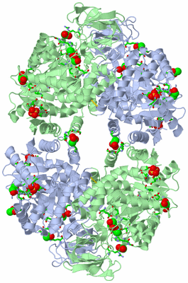 Image Biol. Unit 1 - sites