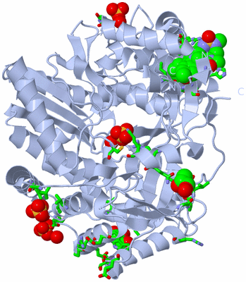 Image Biol. Unit 1 - sites