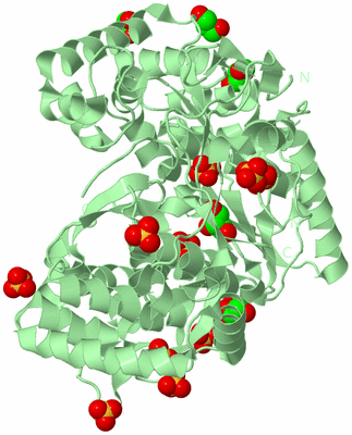 Image Biological Unit 2