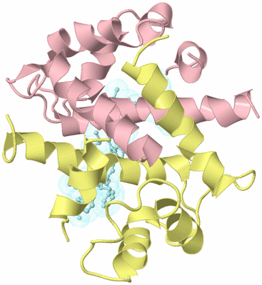 Image Biological Unit 2