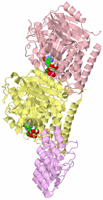 Image Biological Unit 2