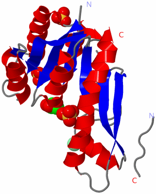 Image Asymmetric Unit