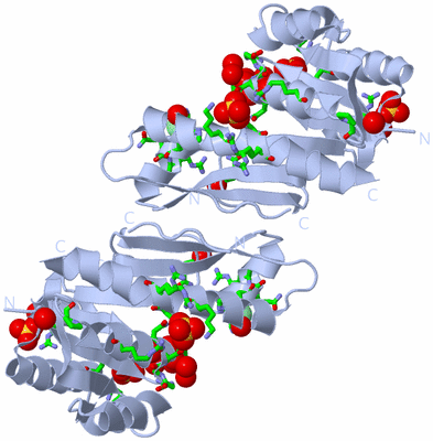 Image Biol. Unit 1 - sites