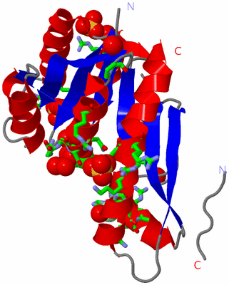 Image Asym. Unit - sites