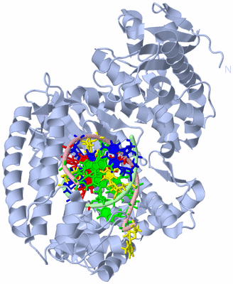 Image Biological Unit 1