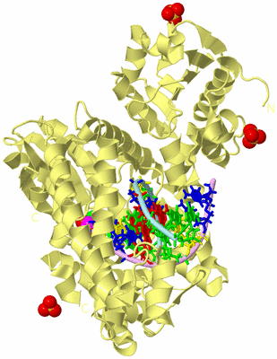 Image Biological Unit 2