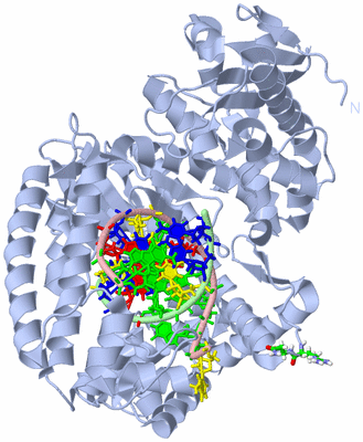 Image Biol. Unit 1 - sites