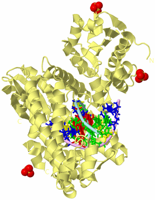 Image Biological Unit 2