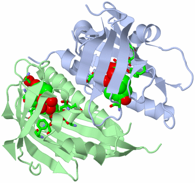 Image Asym./Biol. Unit - sites