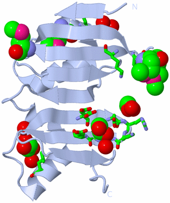 Image Biol. Unit 1 - sites