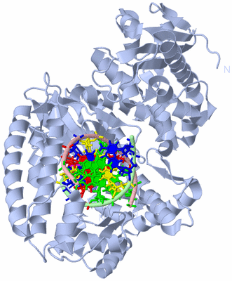 Image Biological Unit 1