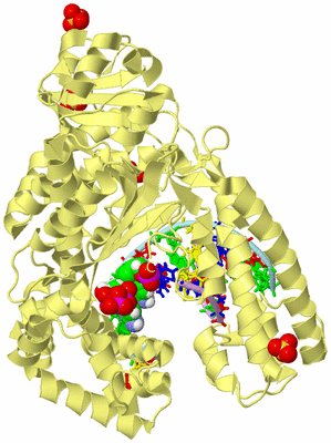 Image Biological Unit 2