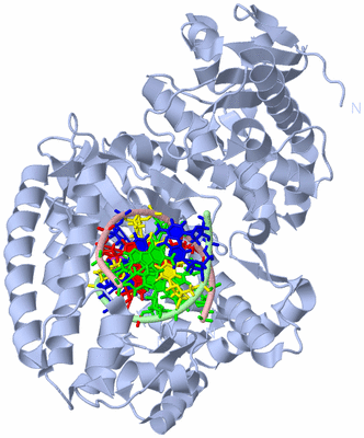 Image Biological Unit 1