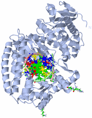 Image Biol. Unit 1 - sites