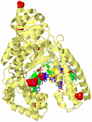 Image Biological Unit 2