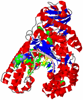 Image Asym./Biol. Unit