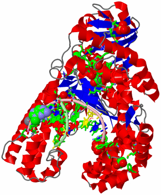 Image Asym./Biol. Unit - sites