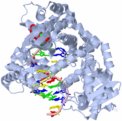 Image Biological Unit 1