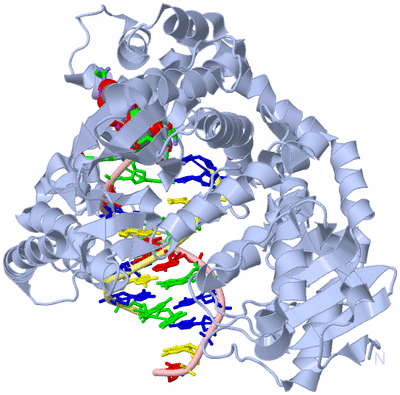 Image Biol. Unit 1 - sites