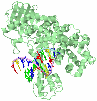 Image Biological Unit 2