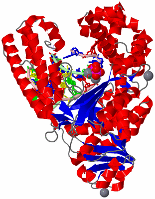 Image Asym./Biol. Unit