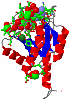 Image Asym./Biol. Unit - sites