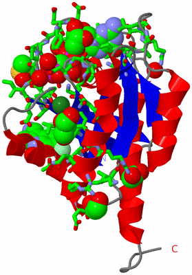 Image Asym./Biol. Unit - sites