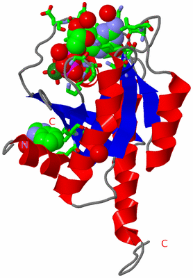 Image Asym./Biol. Unit - sites