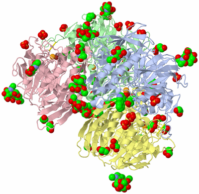 Image Biological Unit 1